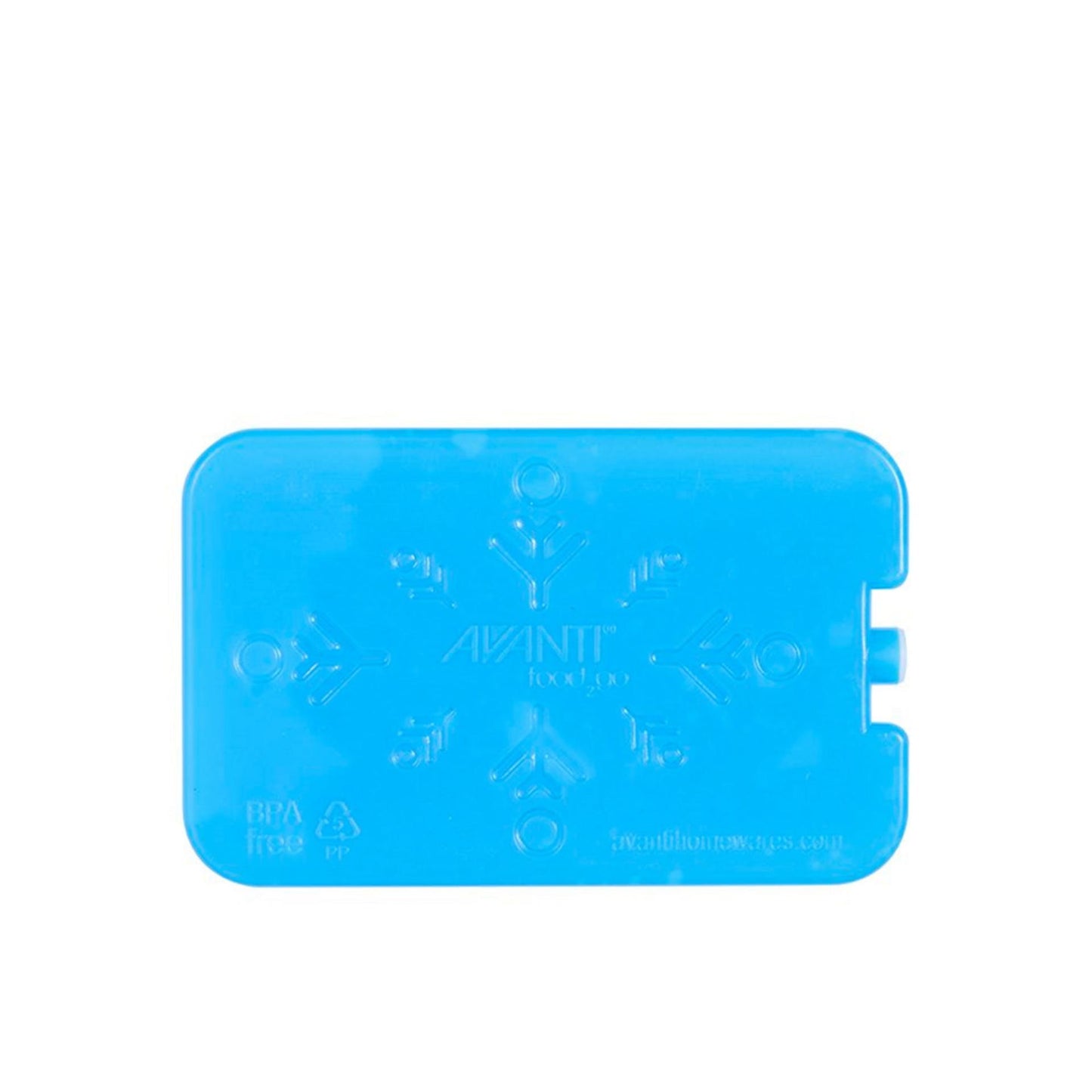 Gel Ice Brick Set Of 2