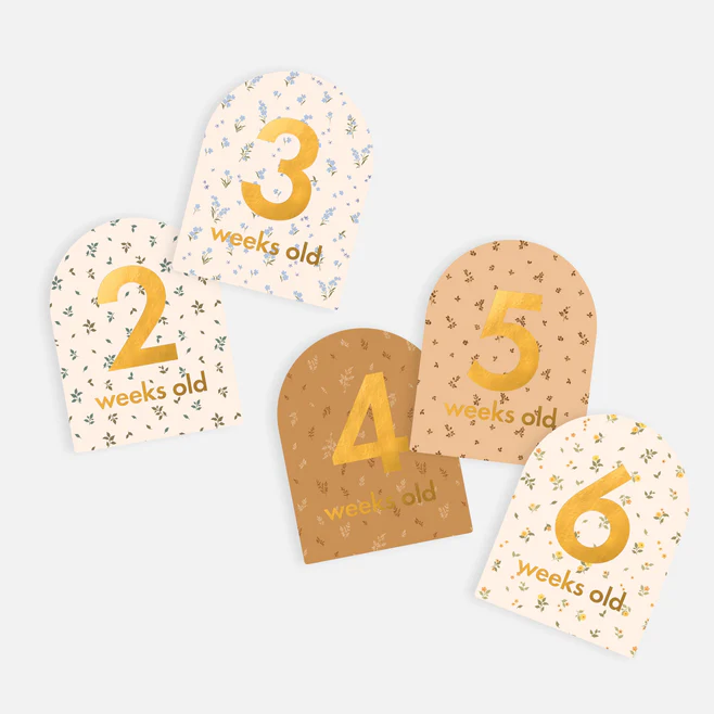 FOX & FALLOW - BABY MILESTONE CARDS - BRODERIE