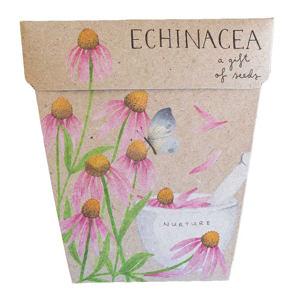 Echinacea Gift of Seed