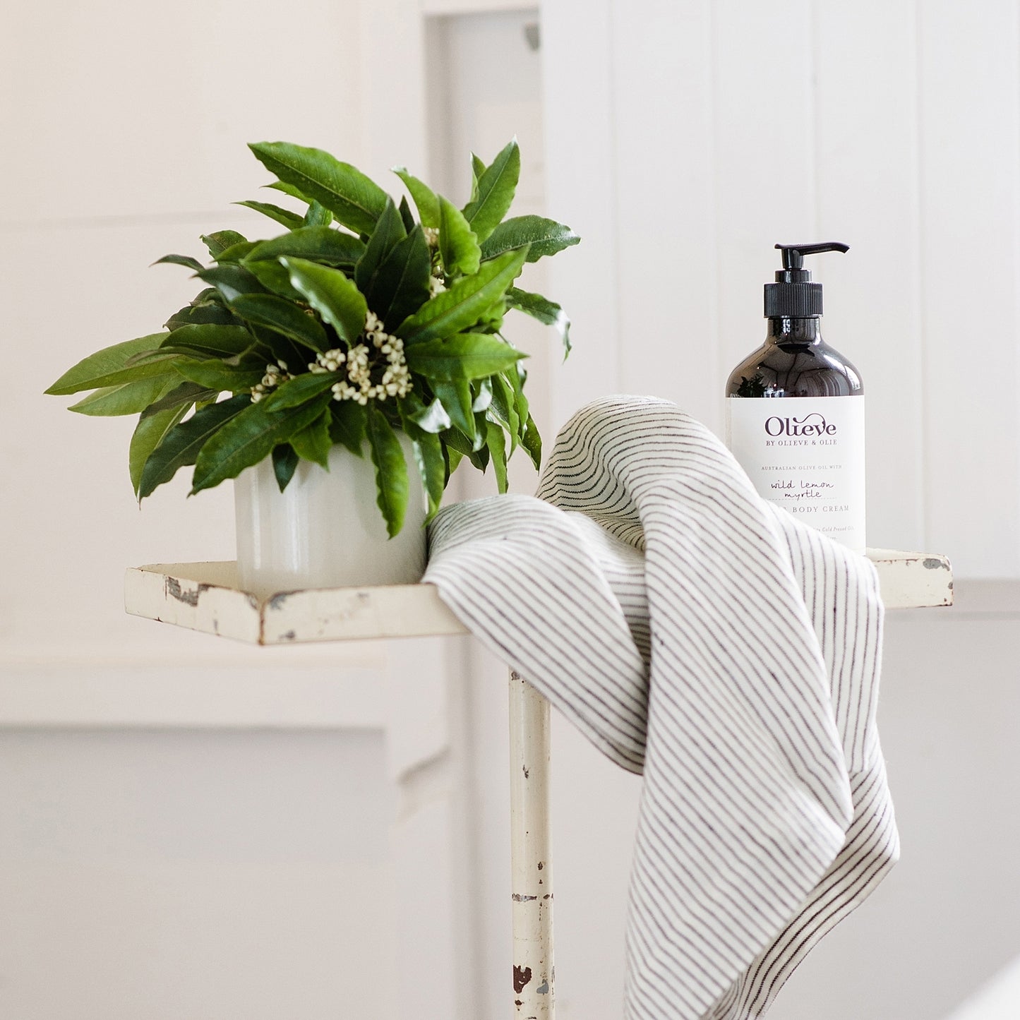 Wild Lemon Myrtle Hand & Body Cream 500ml