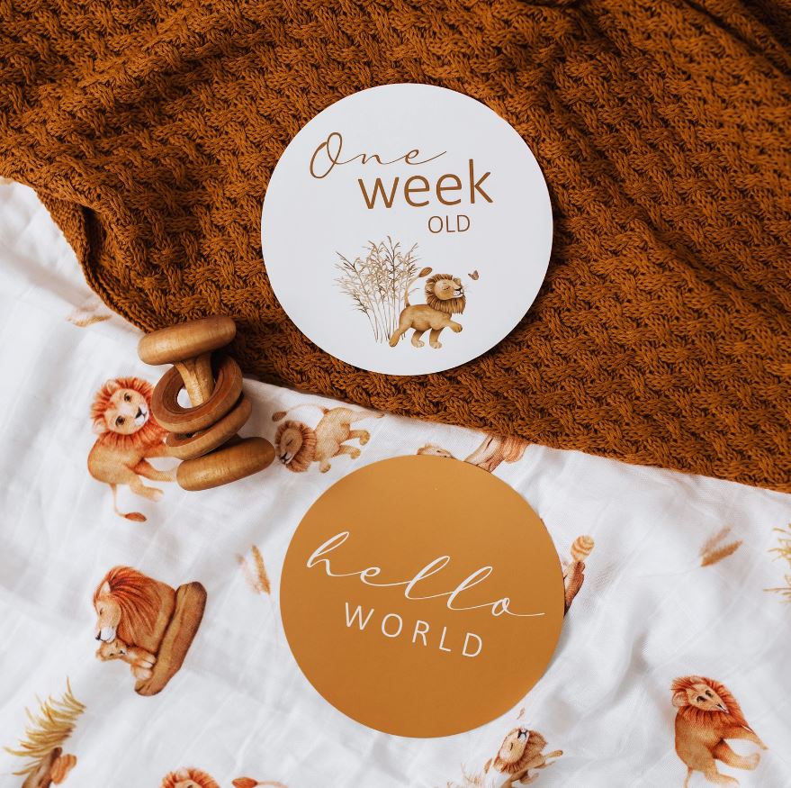 SNUGGLE HUNNY LION & SUNRISE REVERSIBLE MILESTONE CARDS