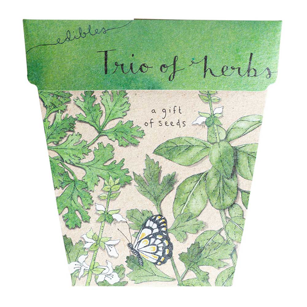 TRIO OF HERBS GIFT OF SEEDS