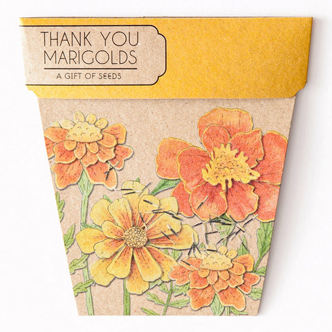 MARIGOLDS GIFT OF SEEDS