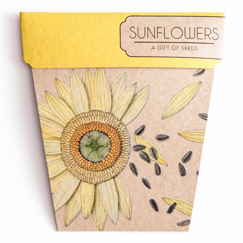 SUNFLOWER GIFT OF SEEDS