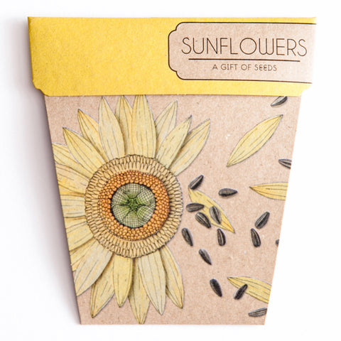 SUNFLOWER GIFT OF SEEDS
