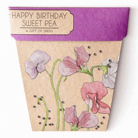 SWEET PEA GIFT OF SEEDS